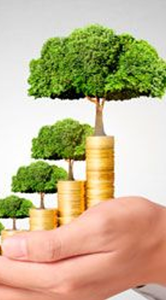 تحفيز الاستثمار وتعزيز النمو