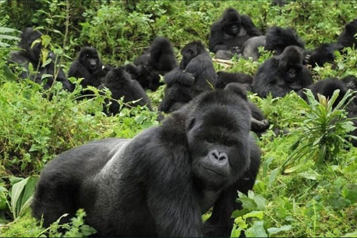 الاستثمار السياحي